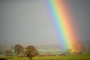 Rainbow | Scotland