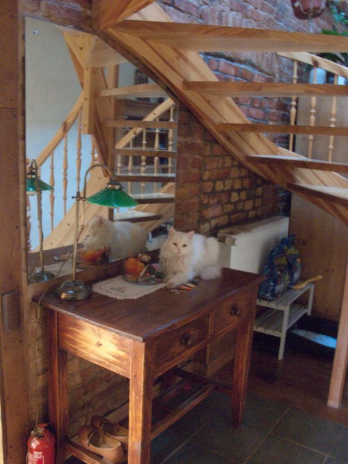 As we locked up our house, our baby girl, Bianca sat waiting for the new residents who would love her and take care of her in the future.