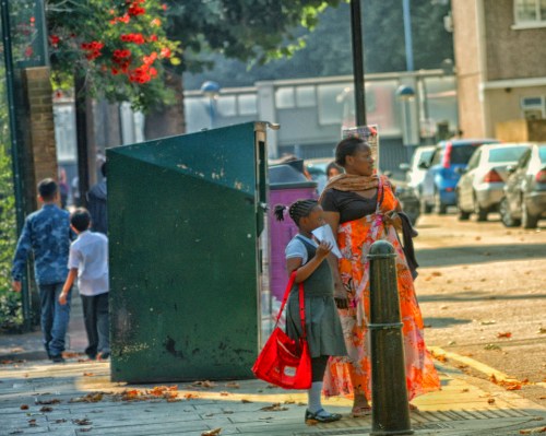 Colors and textures adorn the street where I live
