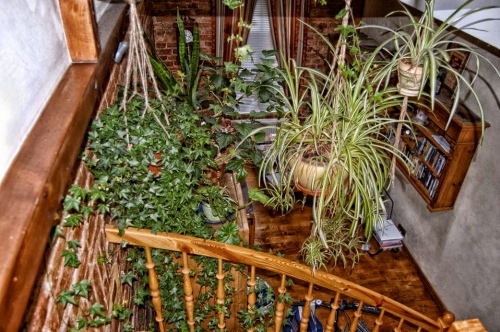 Looking down the stairs in our Safe Place in Riga, Latvia. I can still smell my plants.