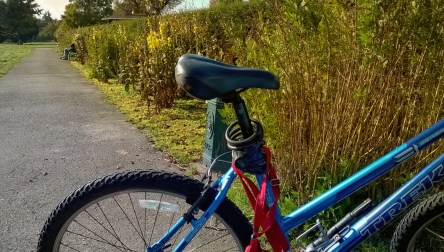 My Blue Bike