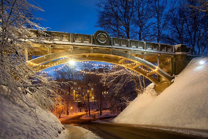 Who Actually Makes These Rules Up,&nbsp;Anyway?